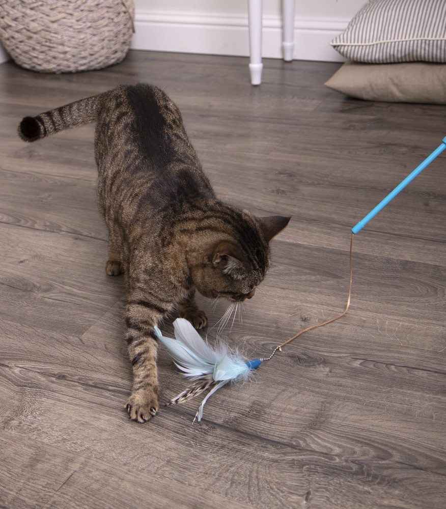 SmartyKat Frisky Flyer - Interactive Cat Toy,Extendable/Retractable Feather Wand