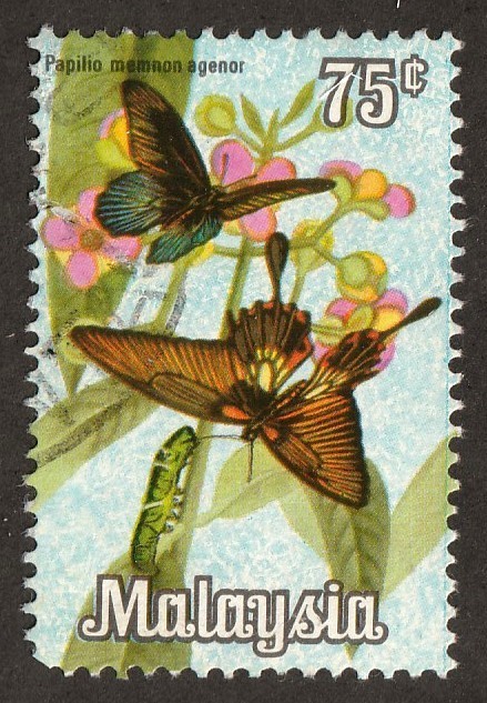 Malaysia         69           used