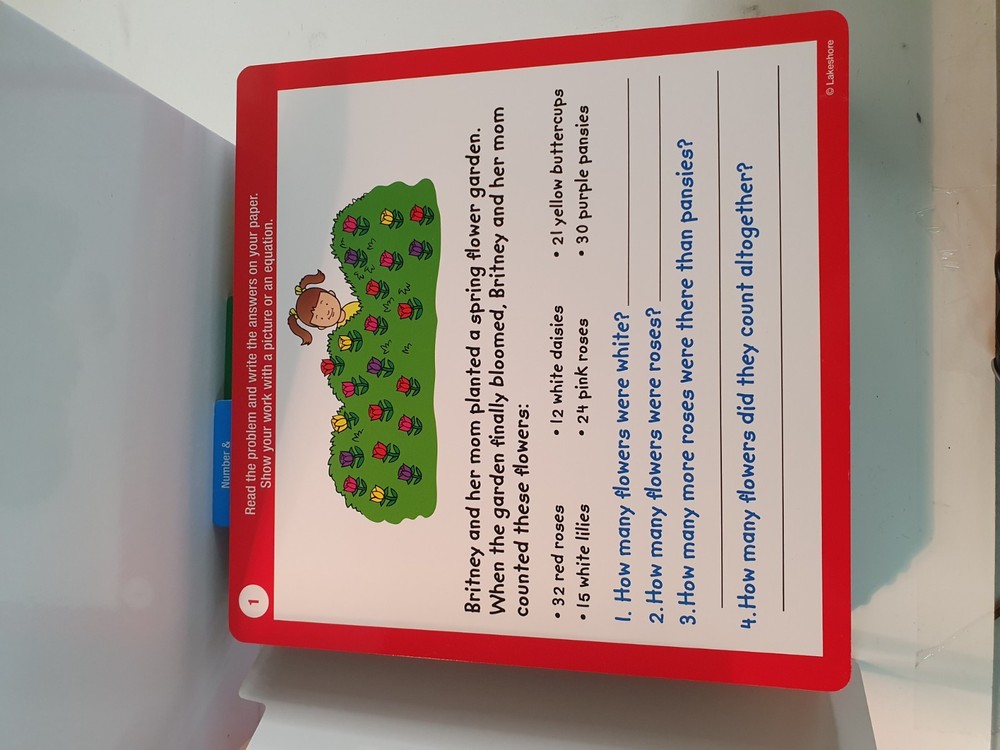 Problem Solving Card Bank by Lakeshore Grade 2-3, 5 Math Domains