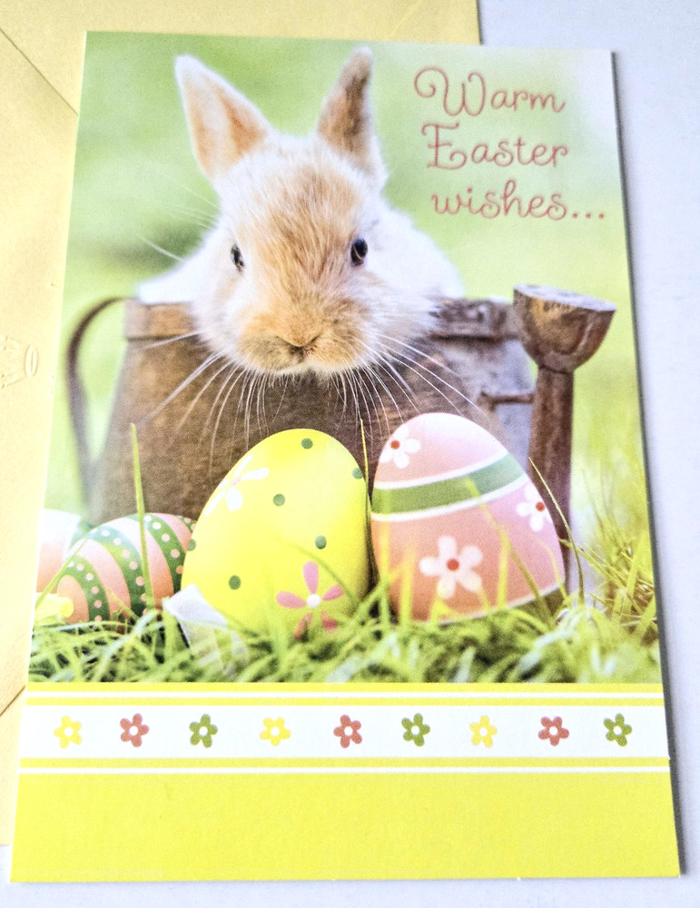 Easter Card Cute Bunny Rabbit in Watering Can with Eggs Hallmark