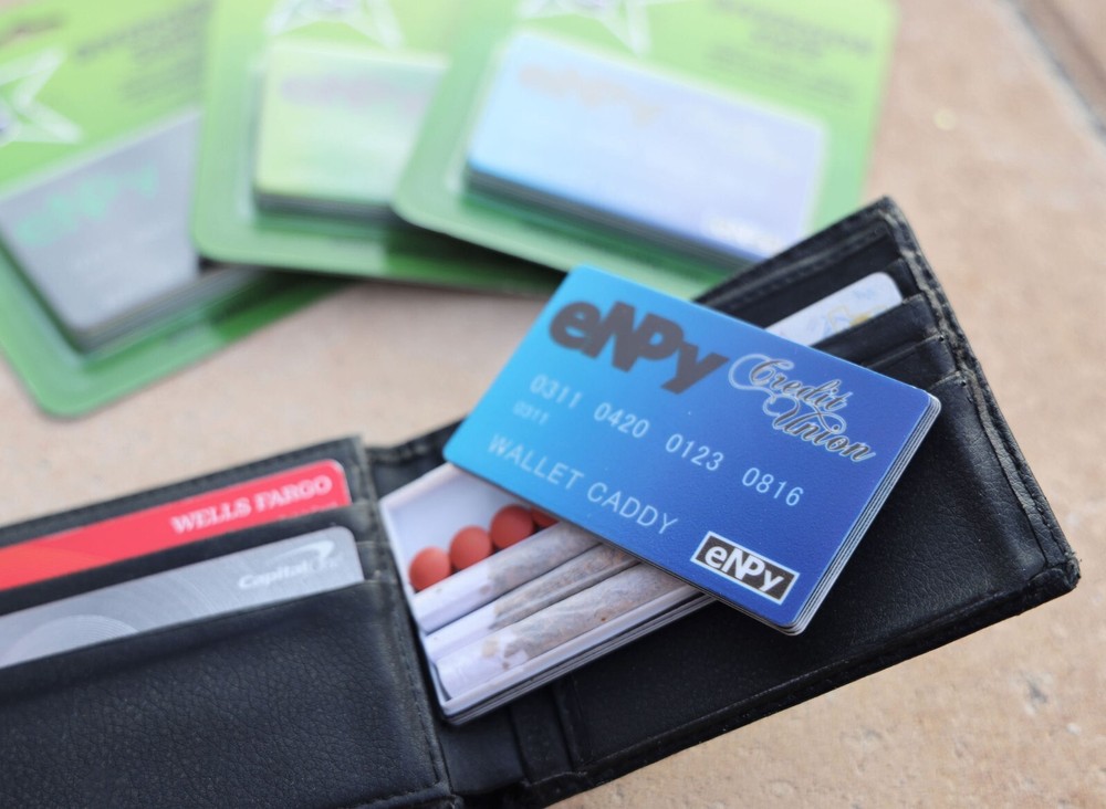 Wallet Caddy - Diversion Safe - Stash Case (Great for Concerts) - Blue