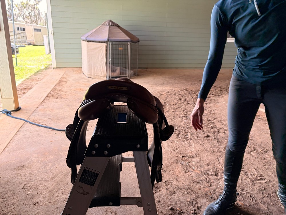 Antares Jump Saddle (estimated 16", used condition)