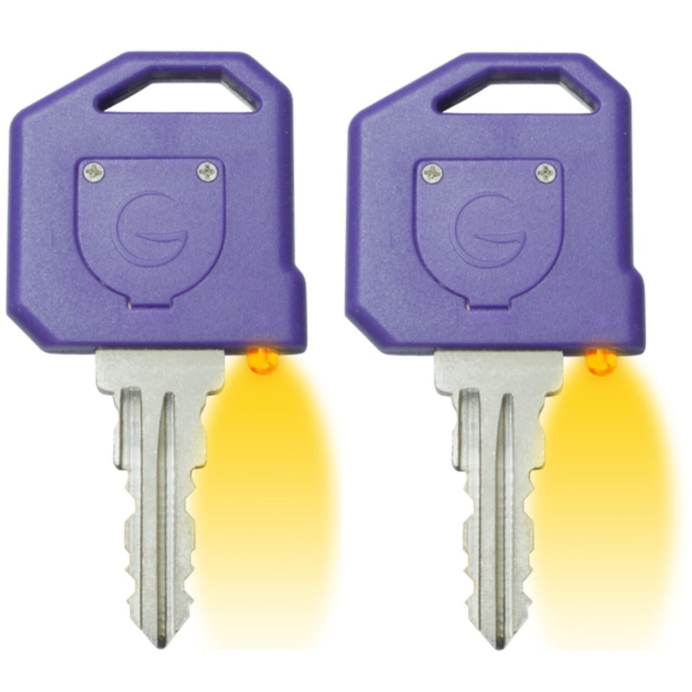 1 Pair (2 Keys) Global Link LED Key W/ Light *SELECT YOUR KEY CODE* G301 - G390