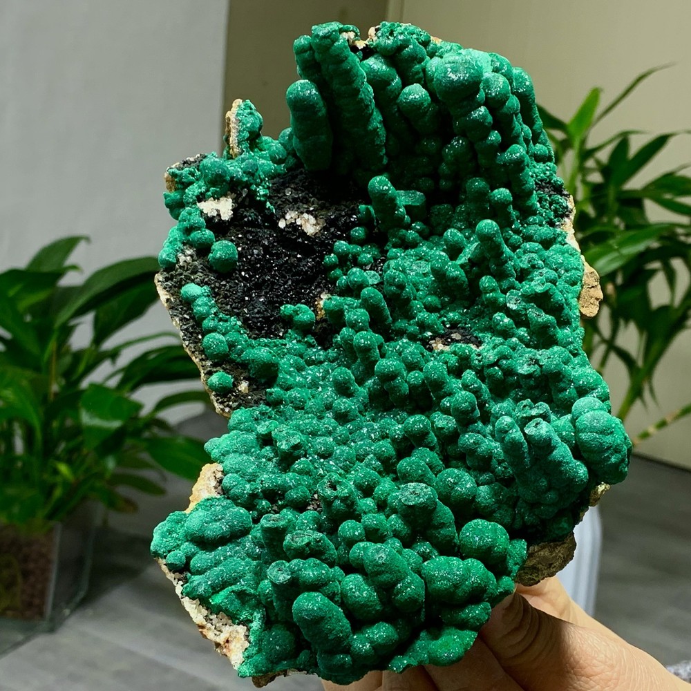2.34LB Natural Malachite rysocolla transparent cluster rough mineral Sample