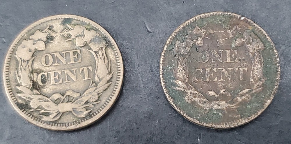 9 Mixed Flying Eagle & Indian Cent Collection