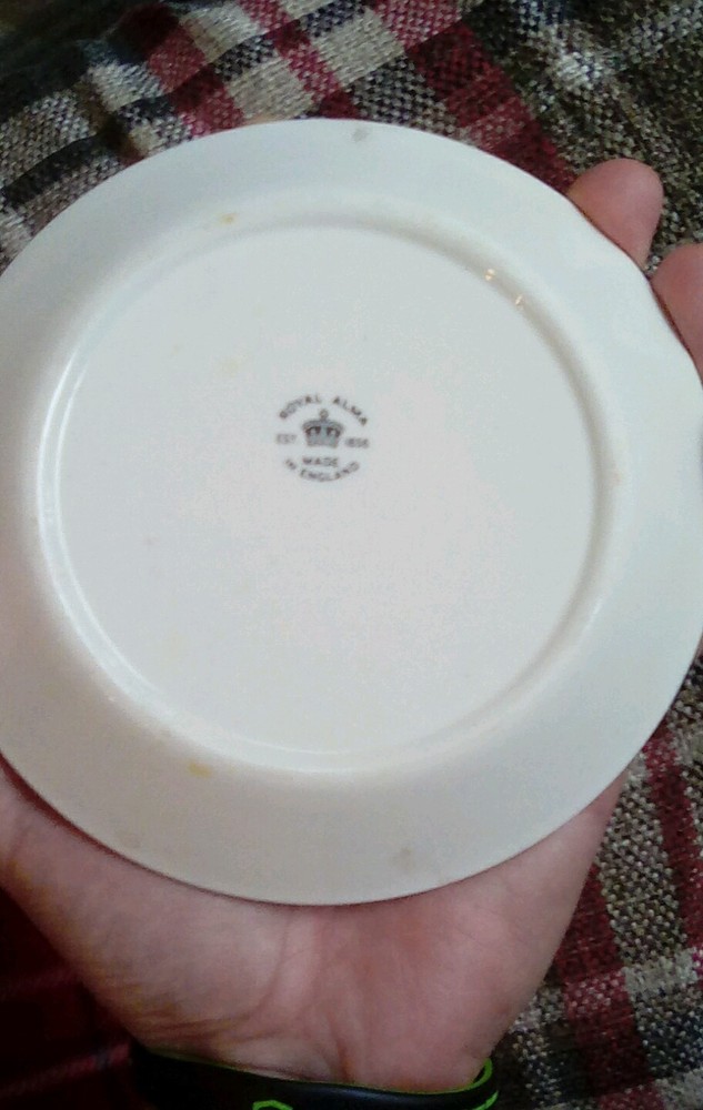 Vintage Canada dry plate