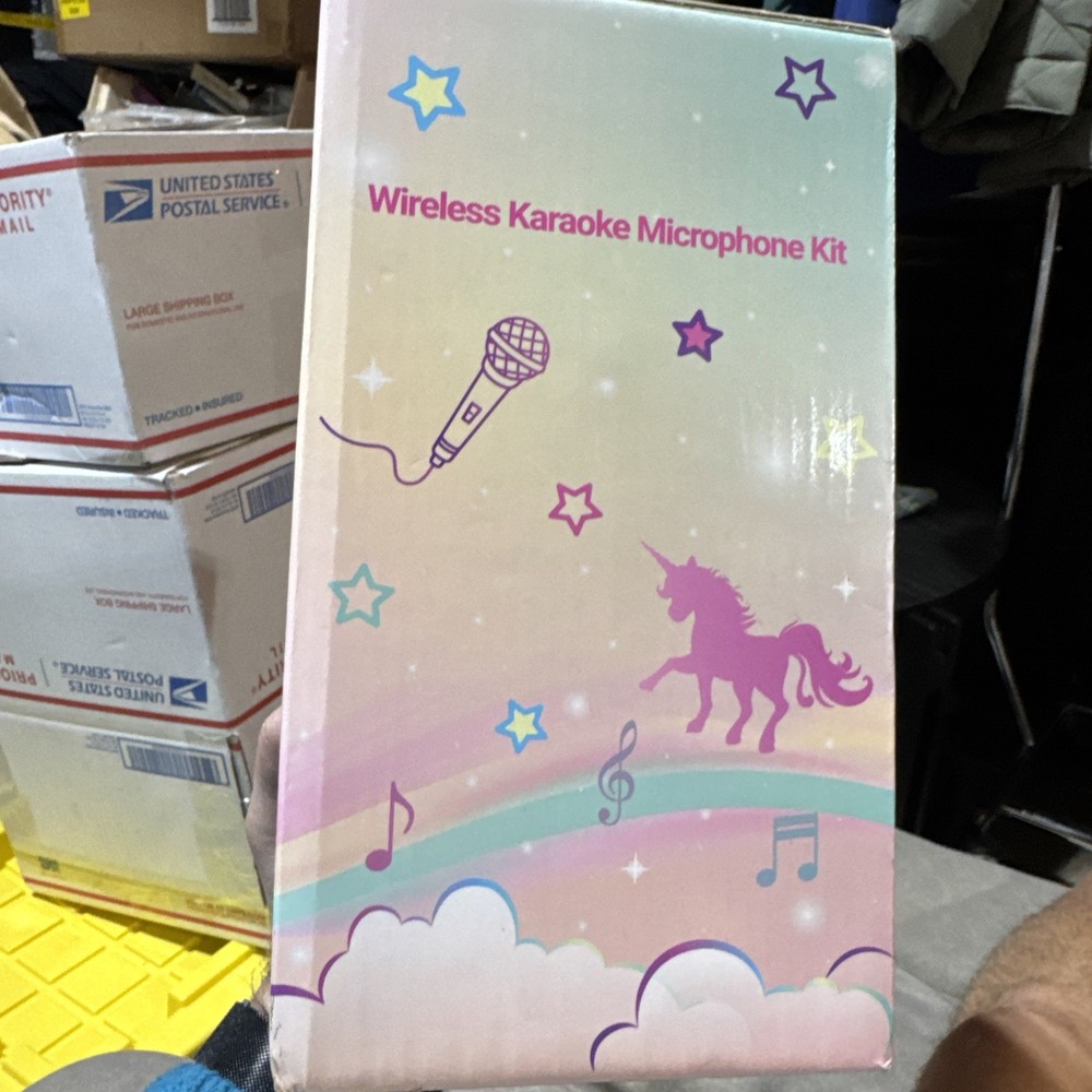 Wernnsaai Wireless Karaoke Microphone Kit