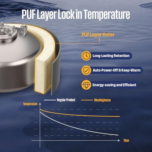 4 Gal Electric Mini-Tank Water Heater for 2-3 APOLO Classic Plus 4 Gallon