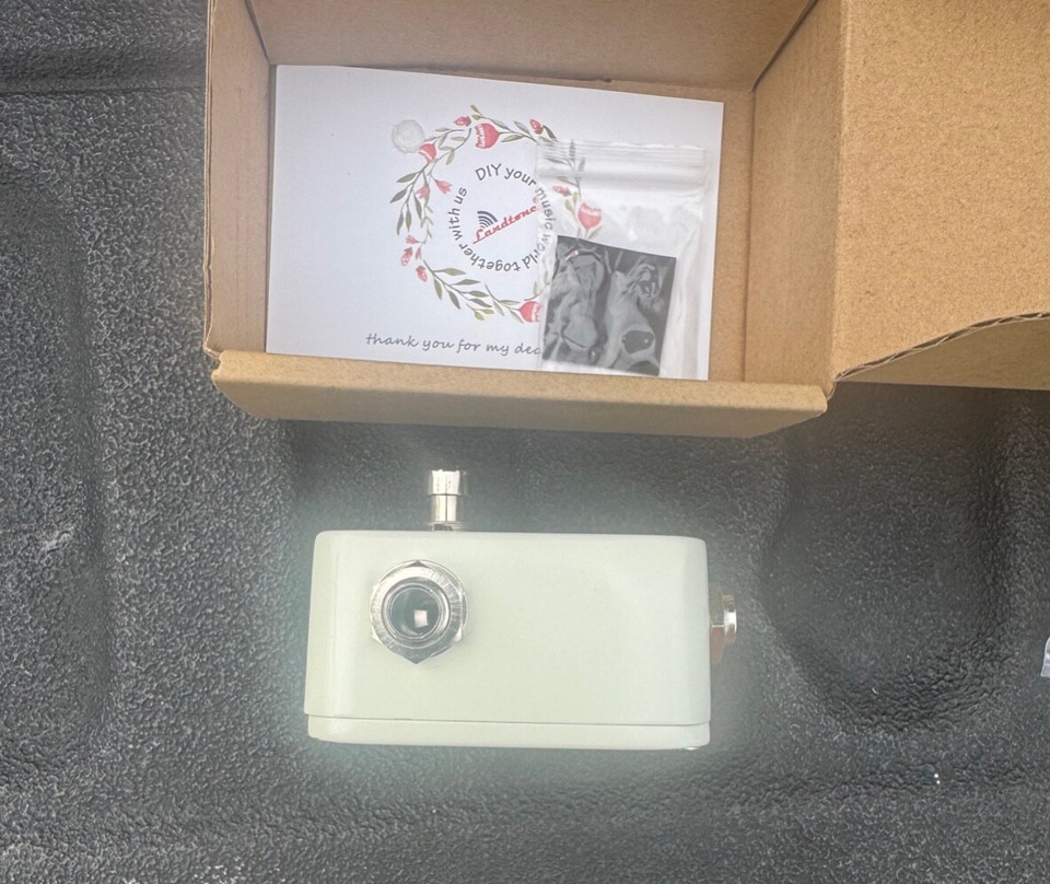 landtone dual looper box