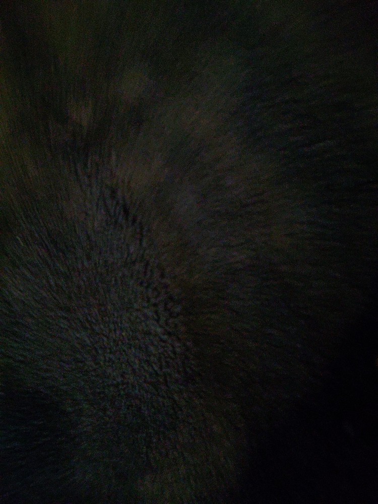 SIMMONS RANGE FINDER