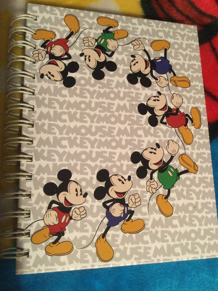 DISNEY PARKS MICKEY A5 DOUBLE SIDED NOTEBOOK NEW