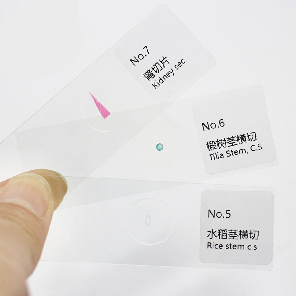 10 PCS/Set Glass Slides Microscope Preparation Kit Calibration Lab