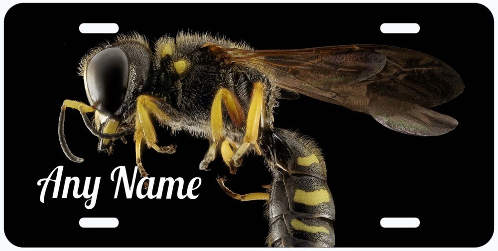 Wasp Insect Any Name Personalized Novelty Car License Plate