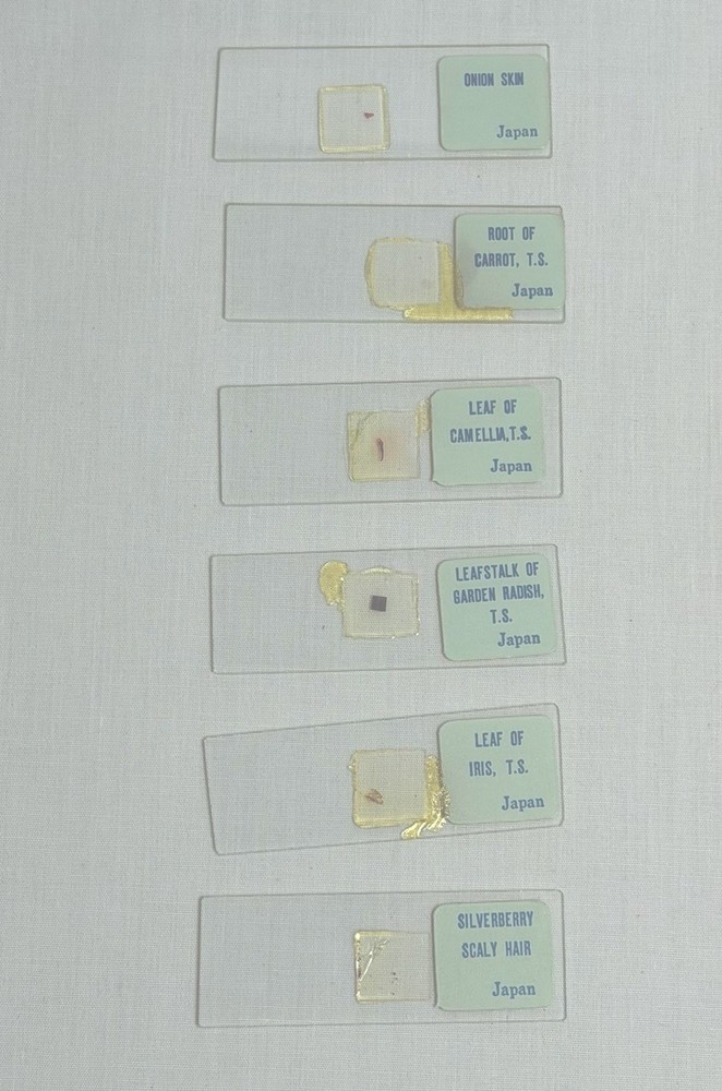 Sears Slide Making Kit 49-24186