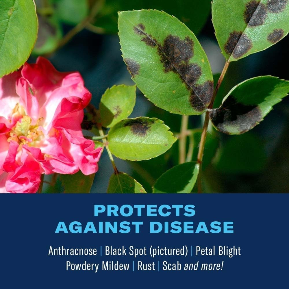 32 oz BioAdvanced 3-In-1 Insect, Disease & Mite Control Tree & Shrub Concentrate