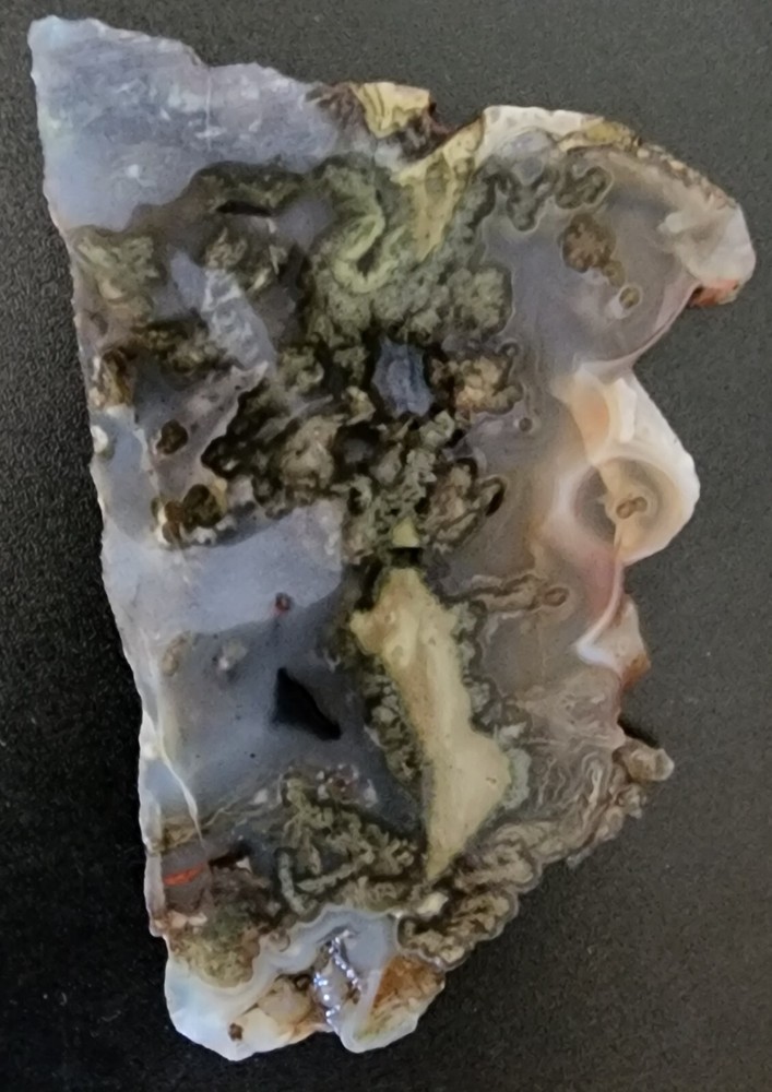 Plume Agate Oregon