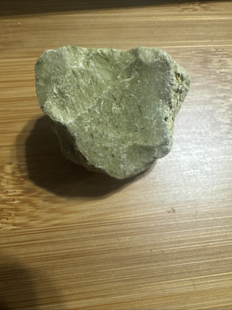 Serpentinite, a type of Metamorphic Rock