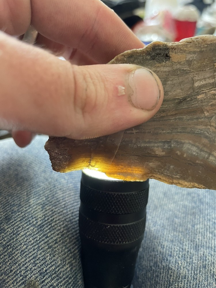 Super Unique, Faced/polished, Agatized/opalized petrified wood