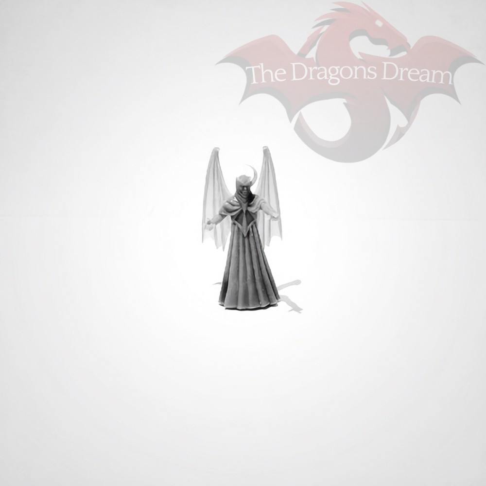Venger - Dungeons and Dragons, Path Finder - 32mm miniature