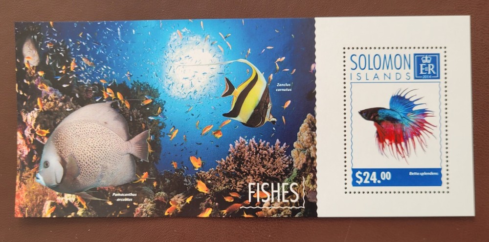 Solomon Islands 2014 / Marine Life - Fishes   / 1v ms