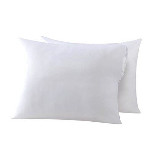 Cooling Bamboo Viscose Feather Proof Queen(20 x 30) White(smooth Surface)