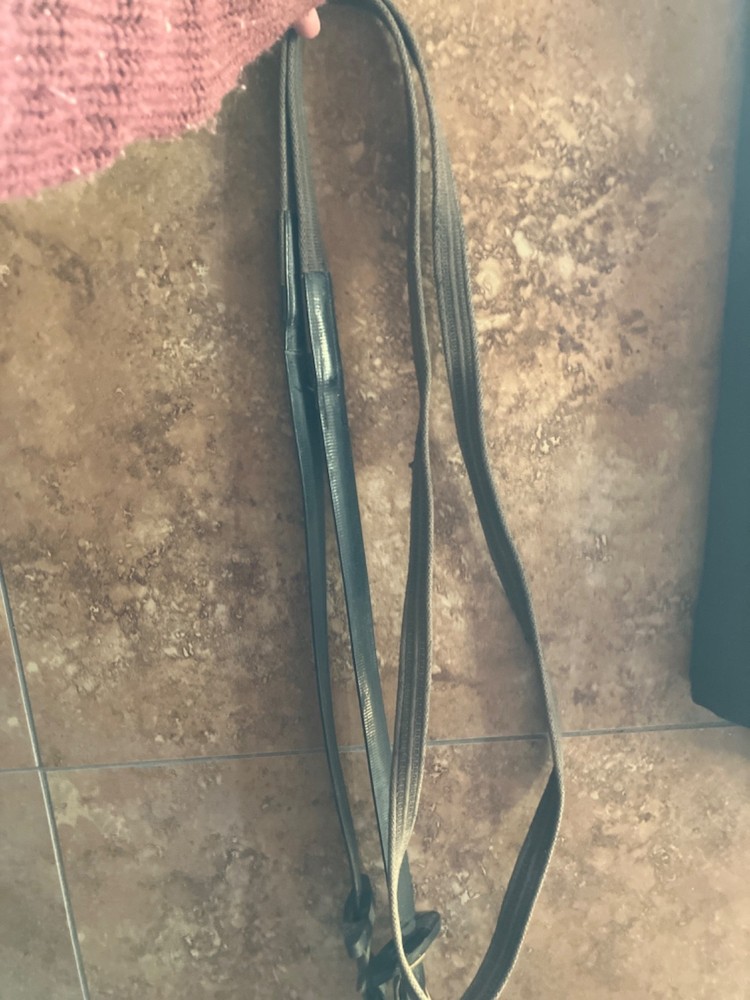 english reins
