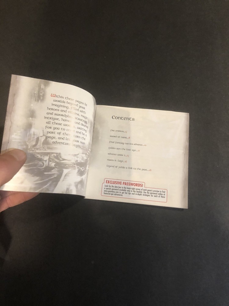 Nintendo gameboy advance journey is the beginning Insert
