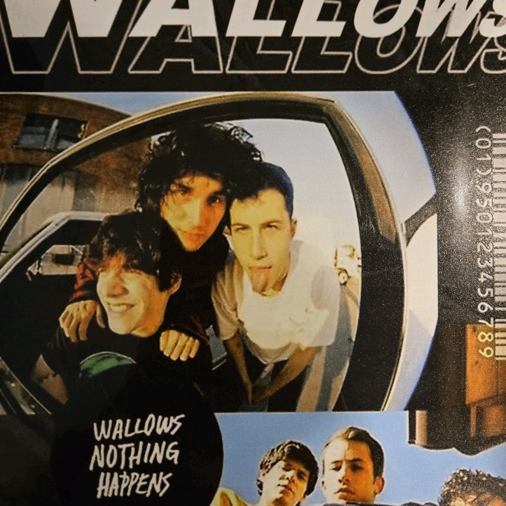 Wallows Band Tin