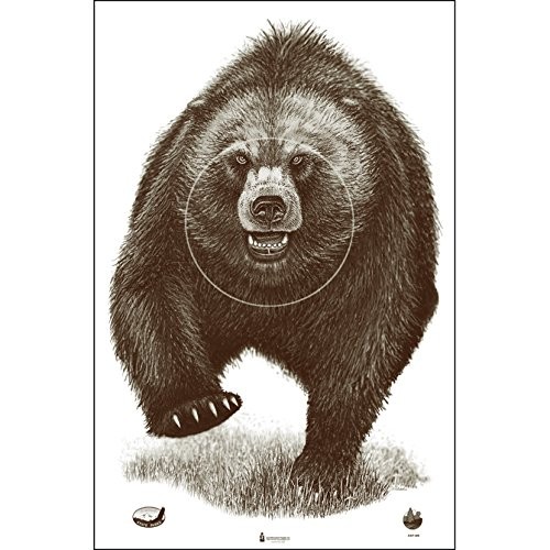 Alaska State Parks Bear Target 50 pack
