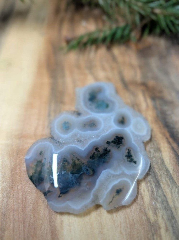 Solar Moss Agate - India - Cabochon - Natural Inclusion Pattern