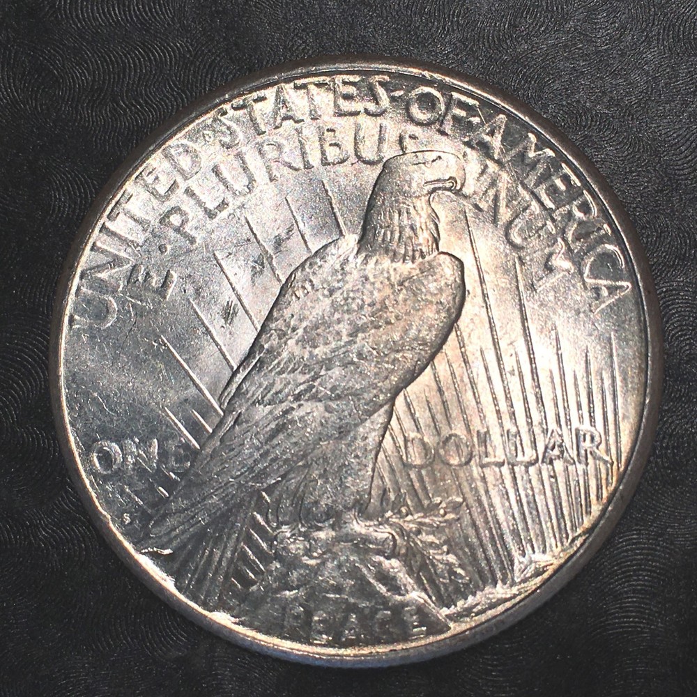 1923-S Peace Silver Dollar - Nice Uncirculated - High Quality Scans #E403