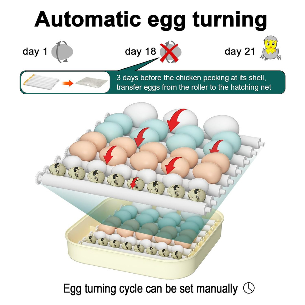 35 Egg Incubator with Automatic Egg Turning and Humidity Control, Incubator for
