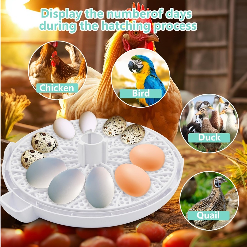 Egg Incubator for Hatching Chicks, Holds 12 Eggs, Automatic Egg Turner with T...