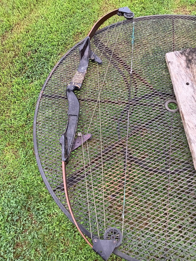 vintage bear whitetail hunter compound bow