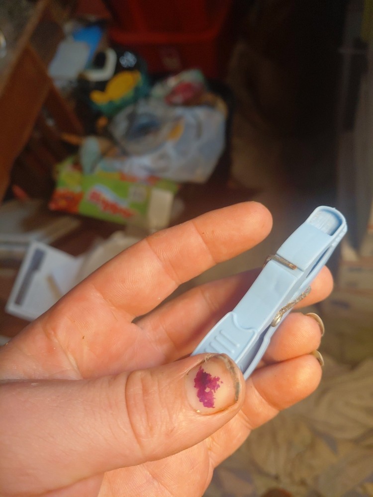 Plastic Clothespin X1