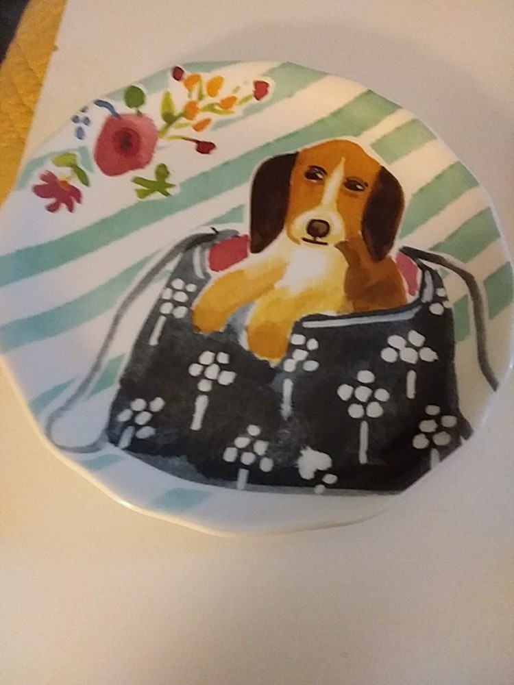 Pier 1 Dolemite Ceramic Plate