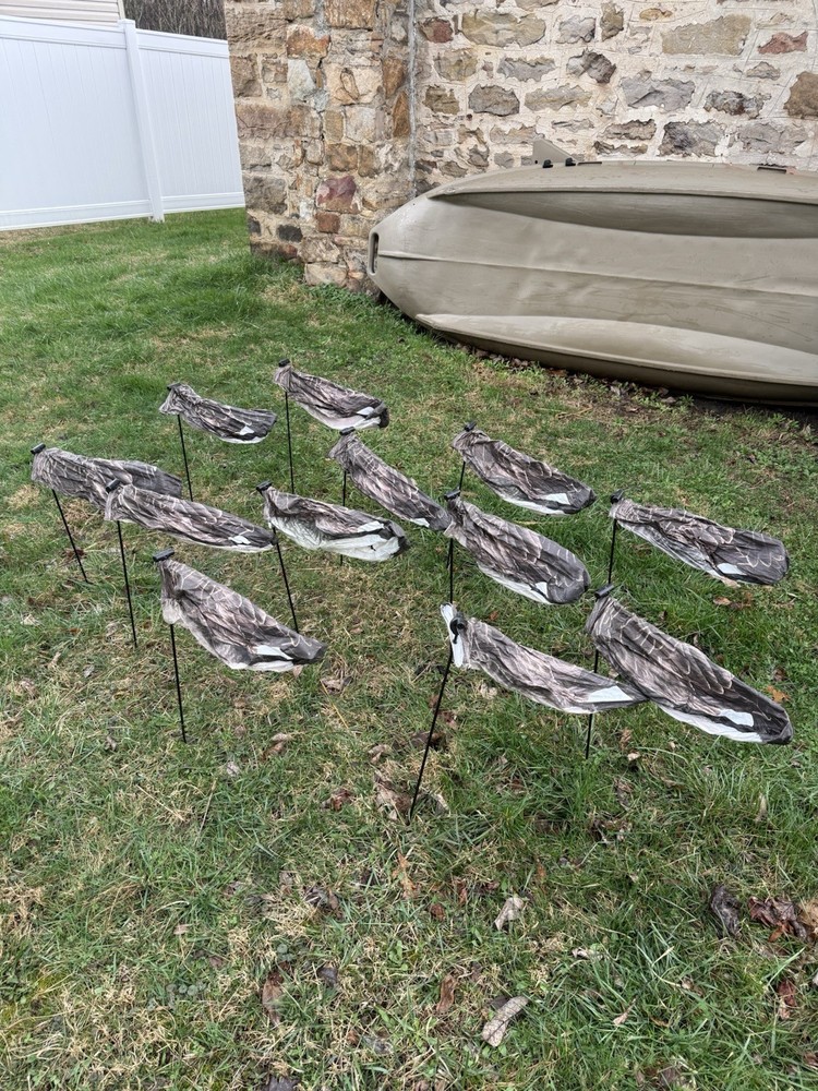 1 Dozen White Rock Canada Goose Headless Sock Deocys