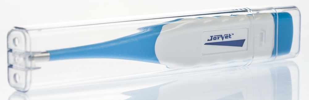 Flexible Tip Digital Thermometer