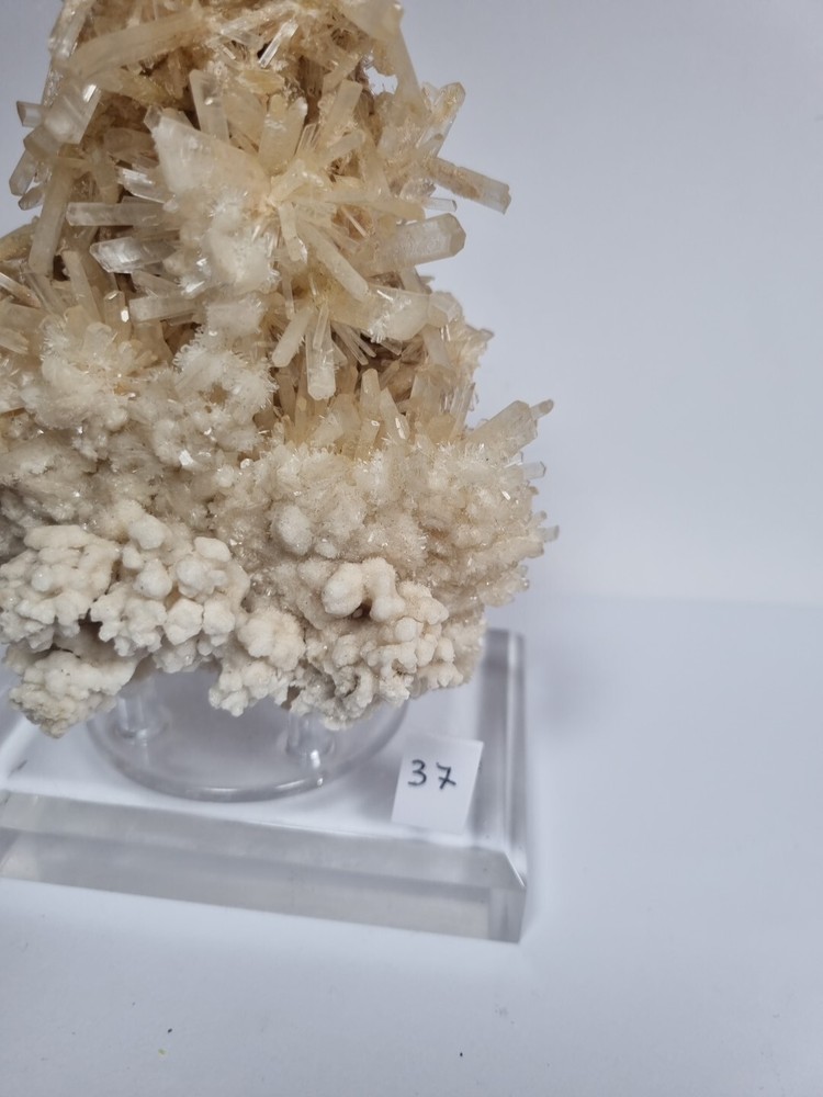 Minerals◇Chalk Australia FREE SHIPPING