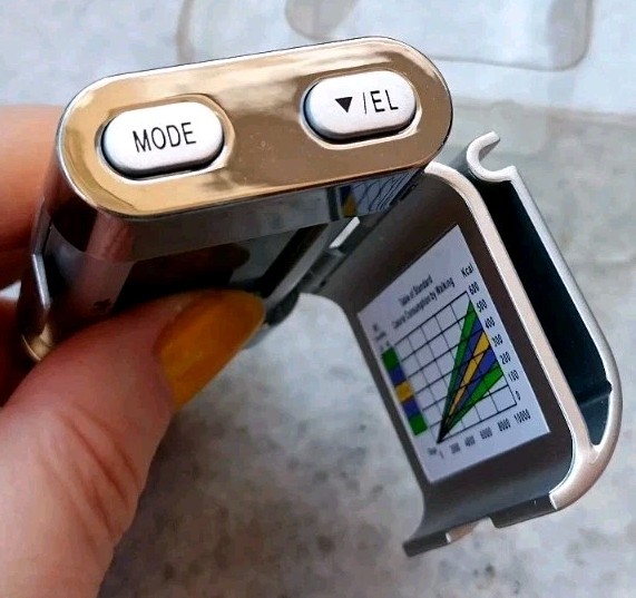Vintage pedometer