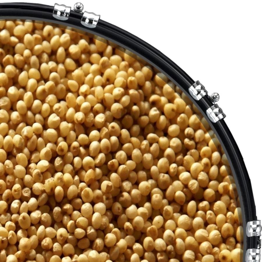 Custom 22" Kick Bass Drum Head Graphical Image Front Skin Corn