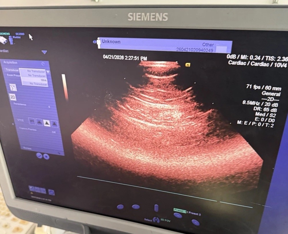 Siemens Acuson 10V4 Vector Array Transducer Probe