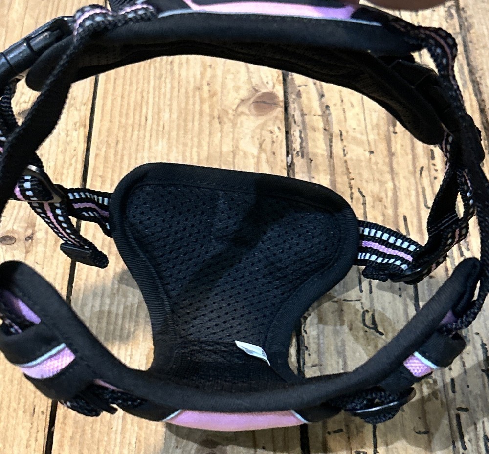 Rabbitgoo Dog Harness, No-Pull Padded Pet Harness 2 Clips Adjustable Soft S Pink