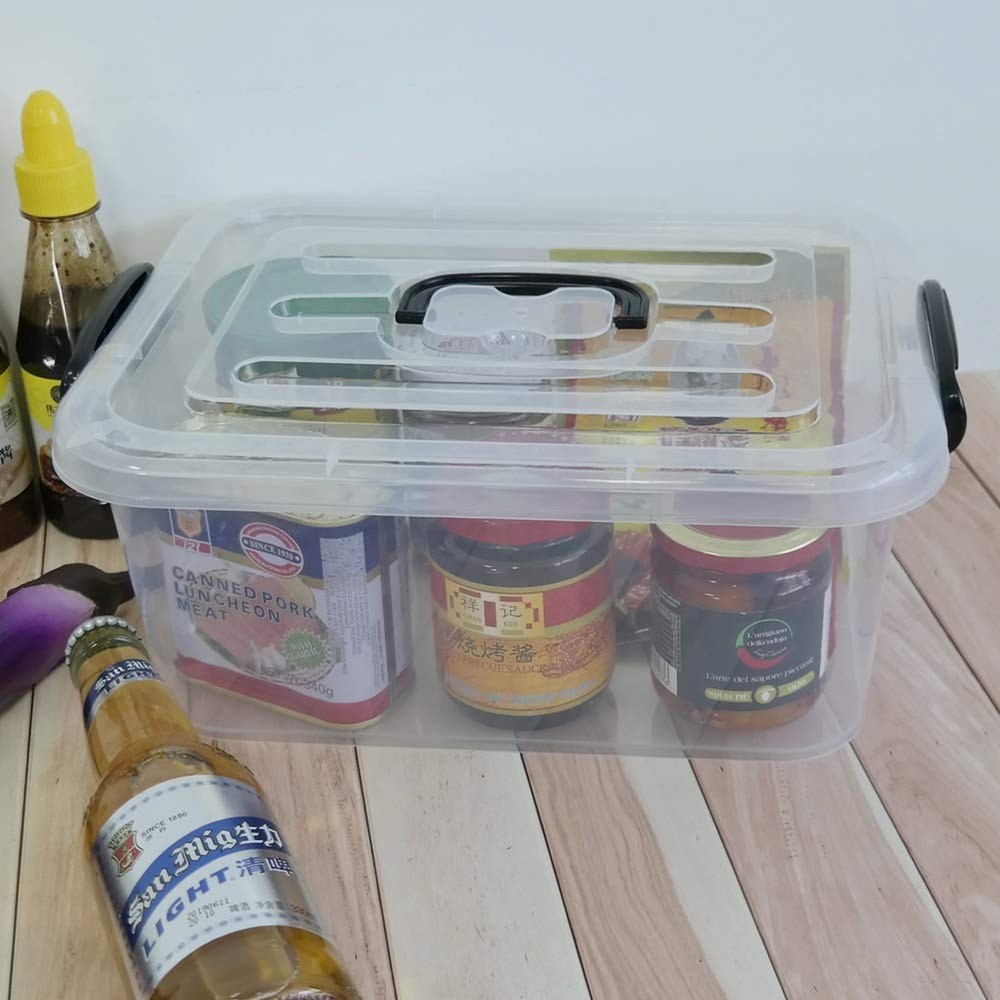 8 L Plastic Storage Boxes, Clear Storage Bin with Black Handle, 2-Pack 8 L