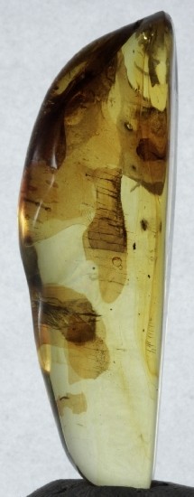 LEAF & FRUIT FLIES in Mexican Amber specimen 5g