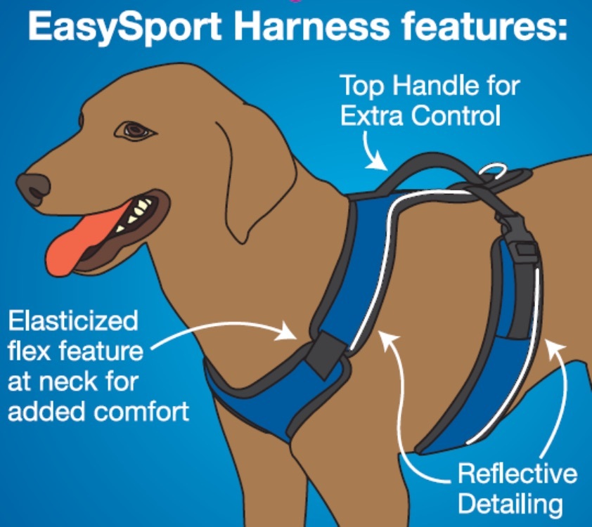 PetSafe EasySport Harness Large Apple