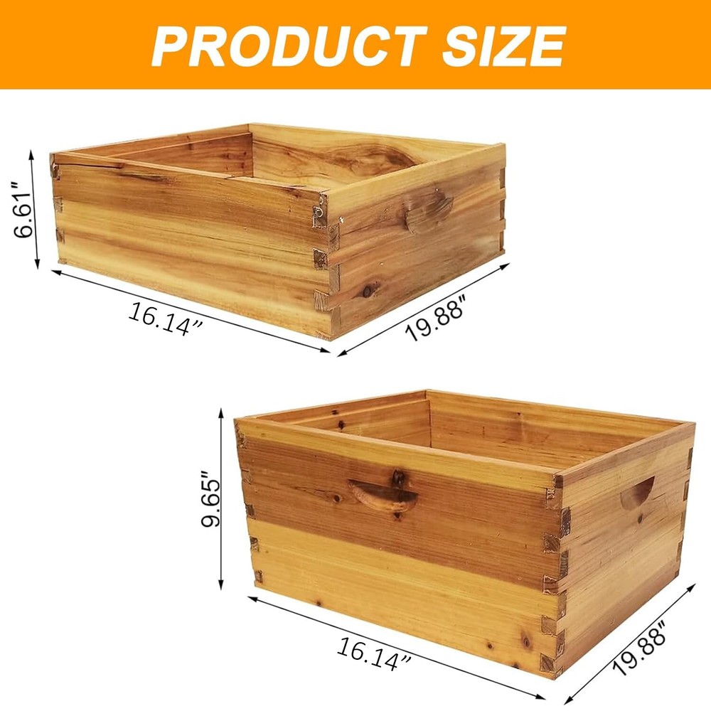 3 Layer Beekeeping Starter Hive Kit 2 Deep 1 Medium