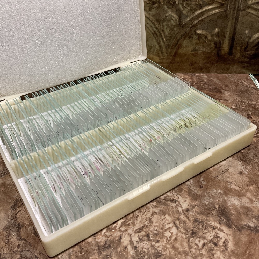 Lakwar 50pc Prepared Slides With Specimens L82711