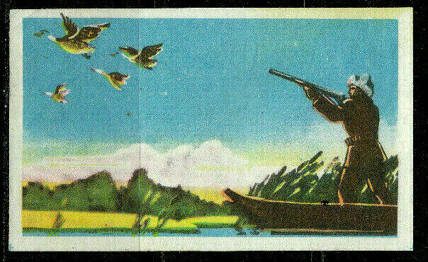 USSR Soviet Russian  Match Box Labels  Vintage    4 x 2.5