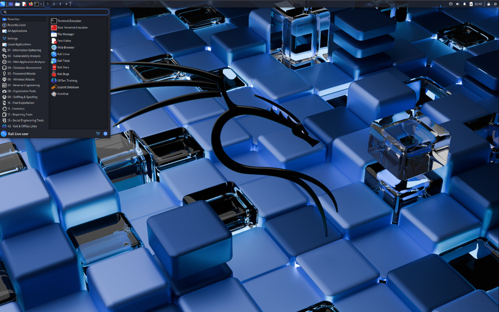 Kali-Linux, Parrot, BlackArch, Linux Mint Live USB, Ethical Hacking OS | USB 3.0